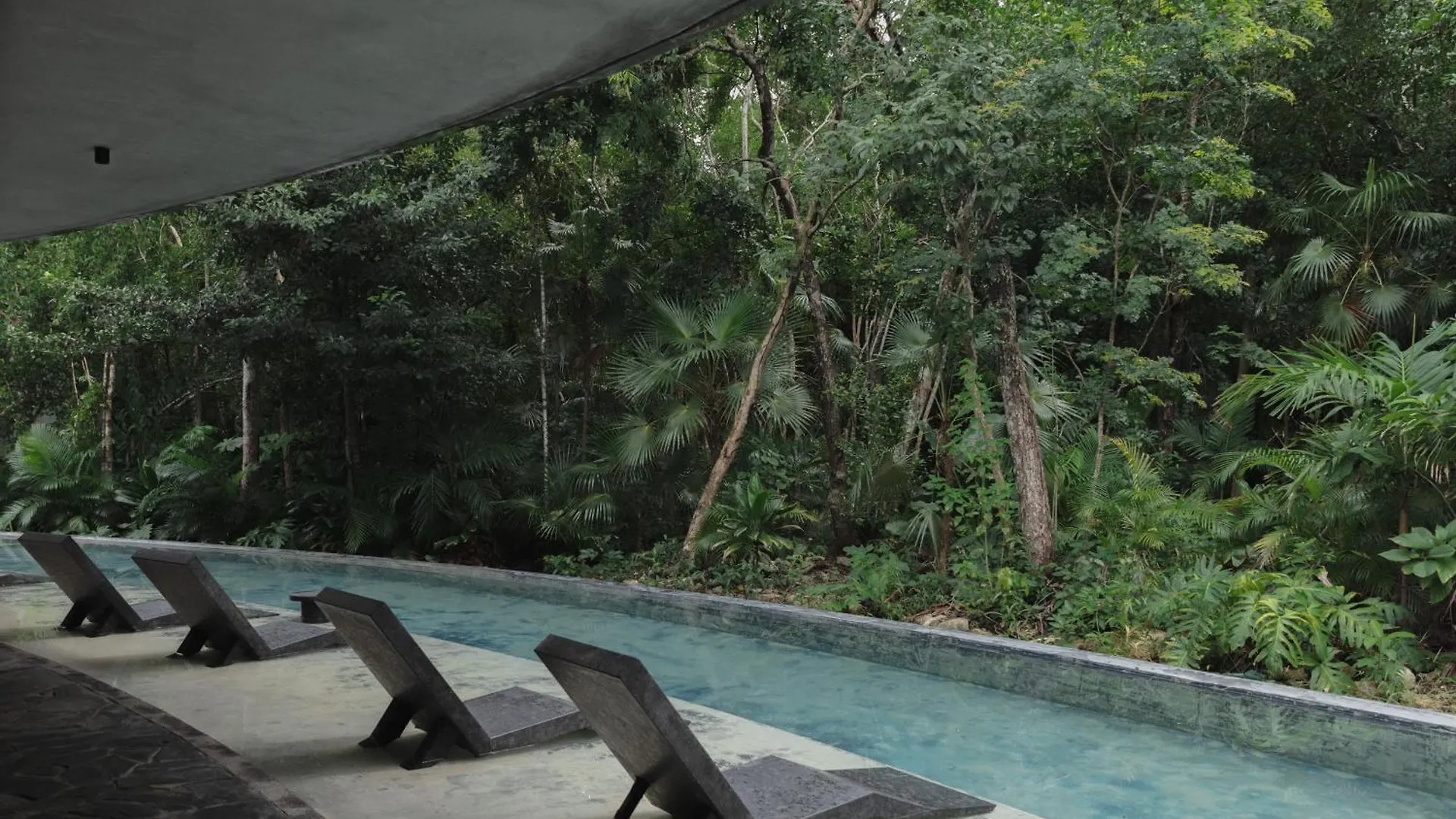 Charming Tulum Getaway In Prime Location Appartement