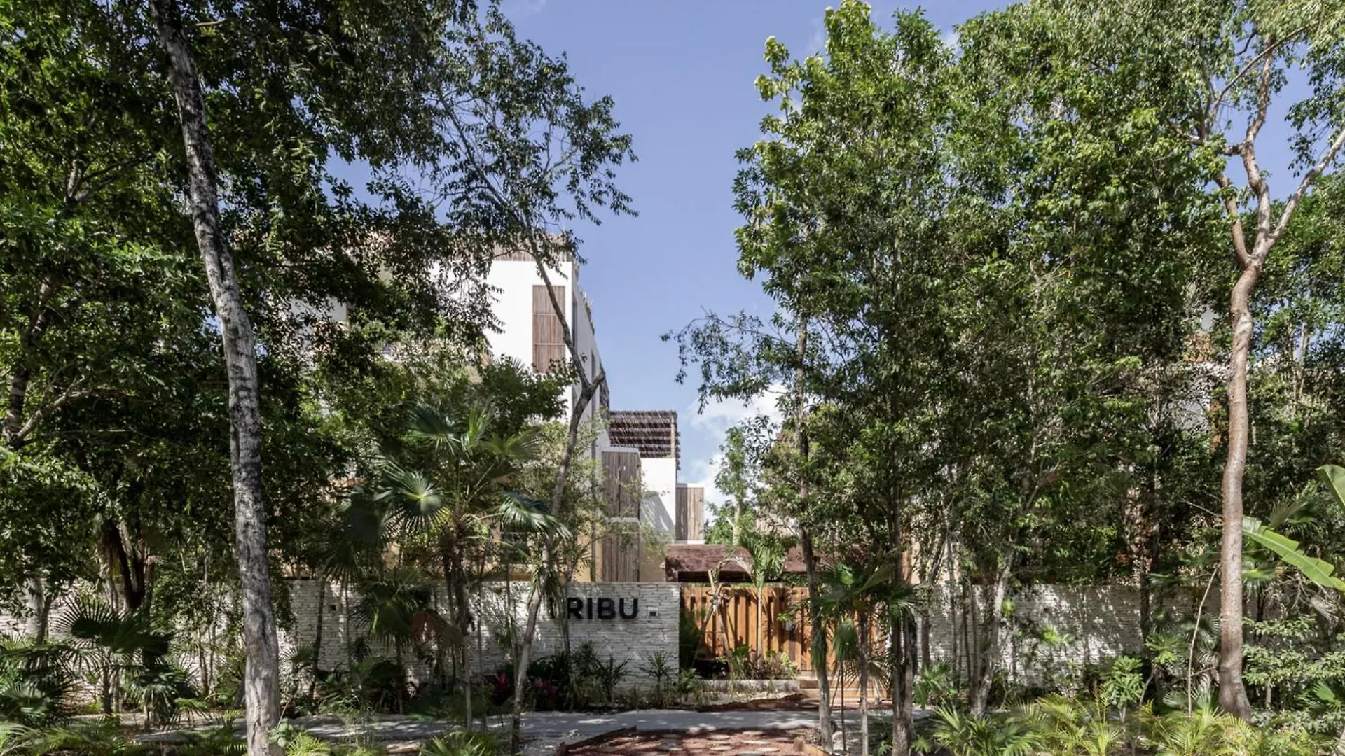 Charming Tulum Getaway In Prime Location Appartement